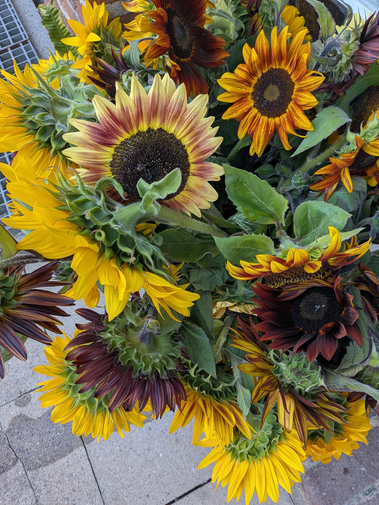 Tschüss und schöne Sommerferien!