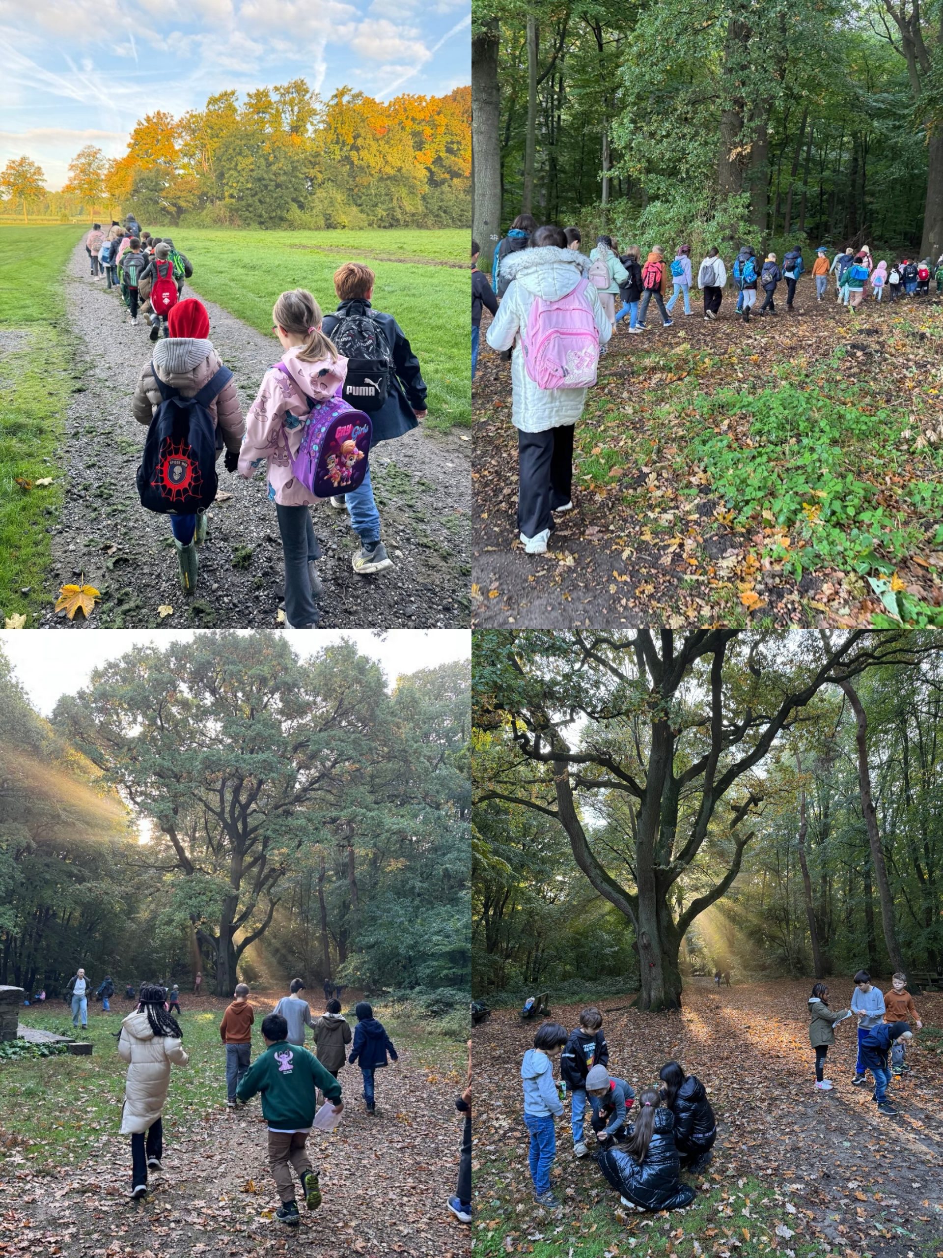 Herbstlicher Waldausflug der Klassen 2b und 4b
