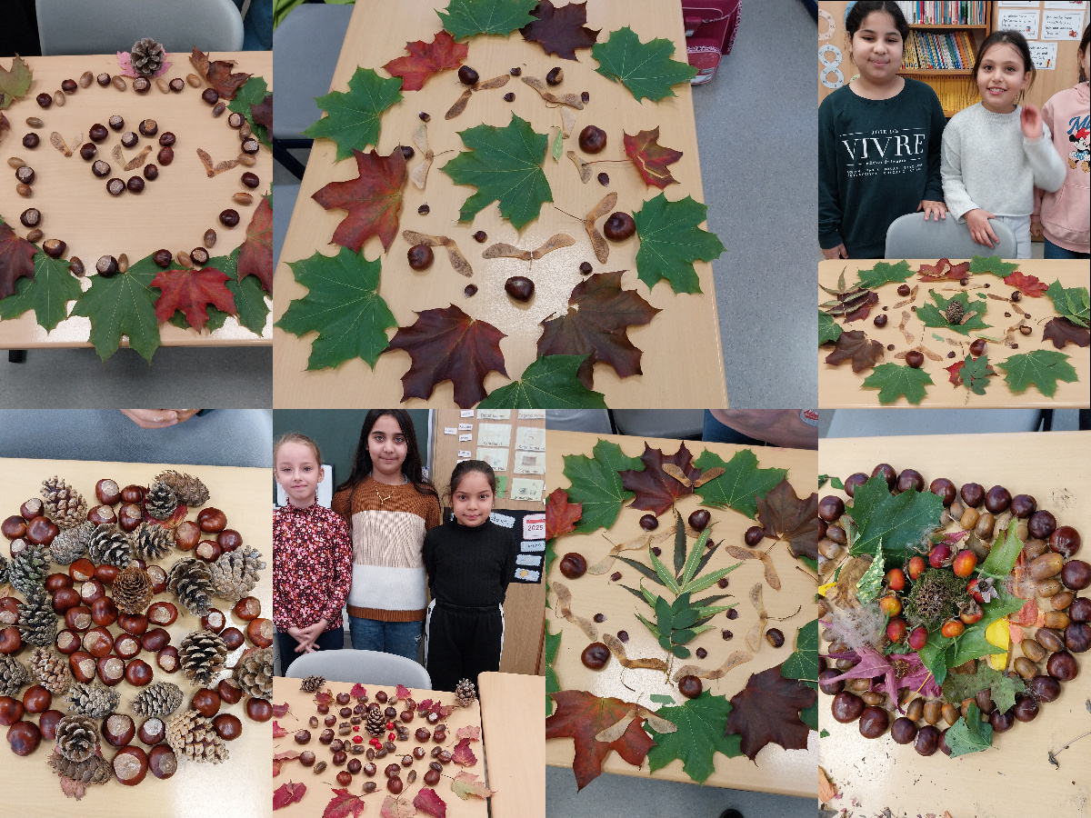 Herbstmandalas