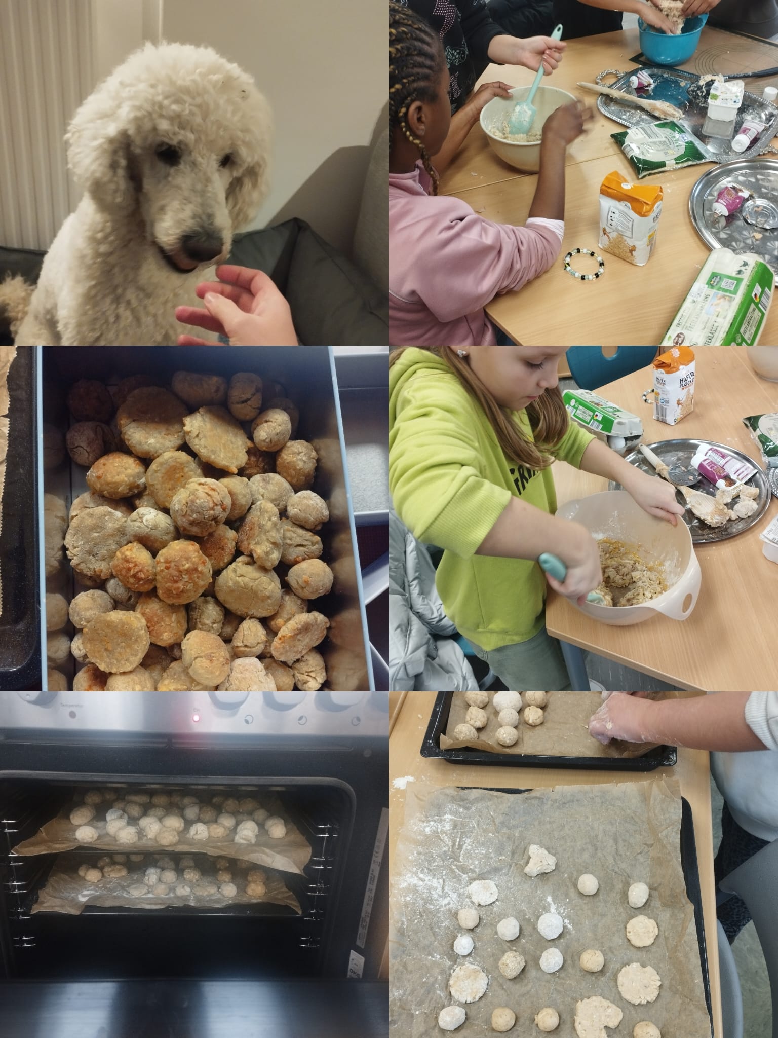 Hundekekse aus der Schulhund-AG