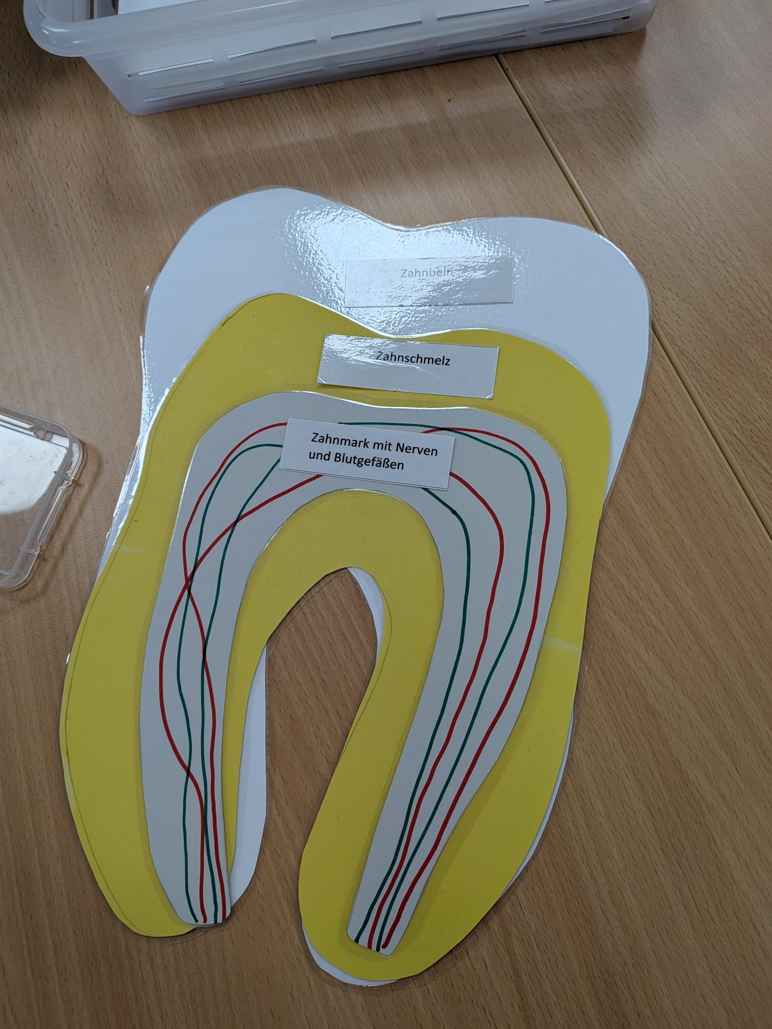 Zahngesundheit in der Schule