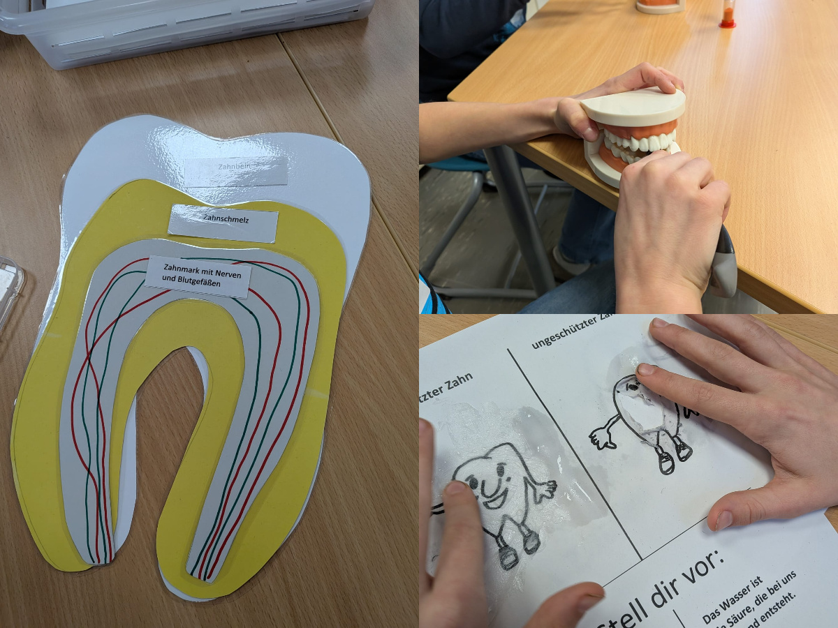 Zahngesundheit in der Schule