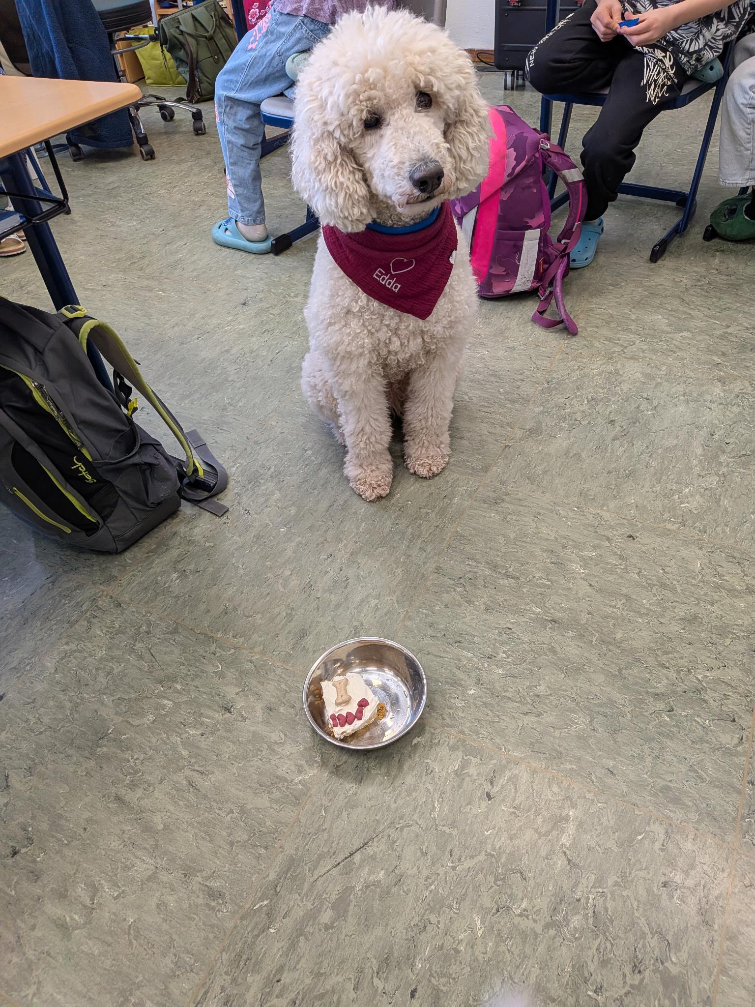 Leise Geburtstagsparty für Schulhündin Edda